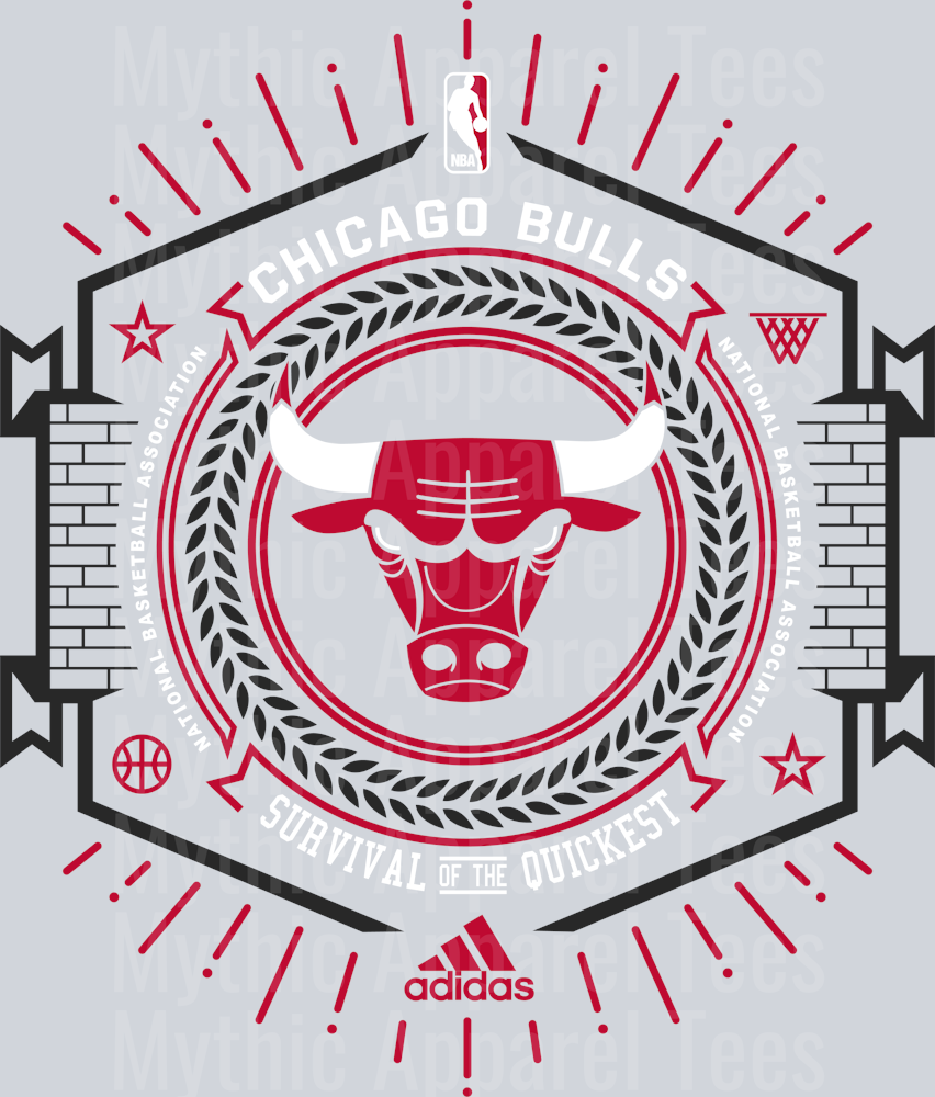 Chicago Bulls Rink Michael Jordan Chicago Bulls Jordans Nike DTF Michael Jordan Transfers