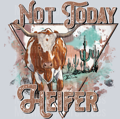 Now Today Heifer Cow Cowgirl Western