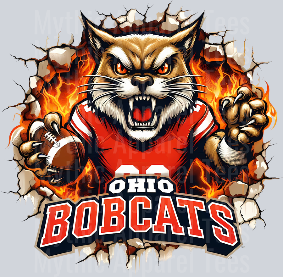 College Football Team Transfers