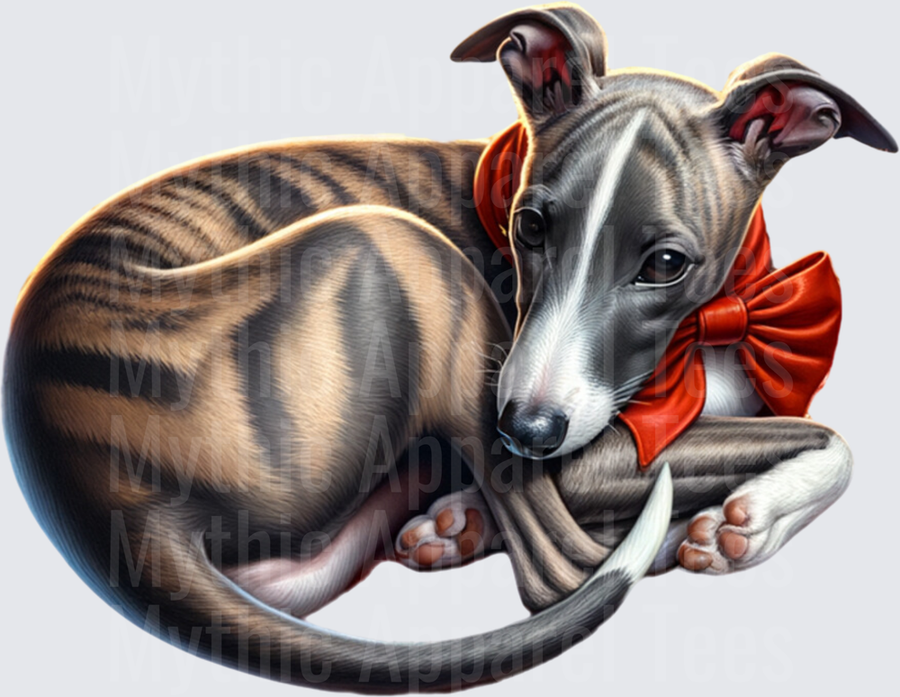 Brindle Whippet Greyhound Puppy Curled Up with Red Christmas Bow