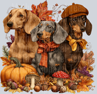 fall dachshand png