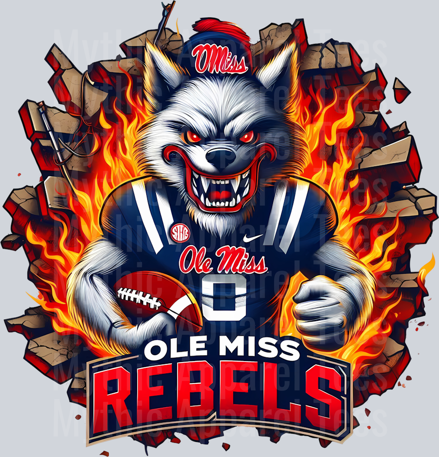 College Football Team Transfers