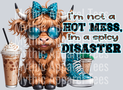 I'm not a mess I'm a spicy Disaster