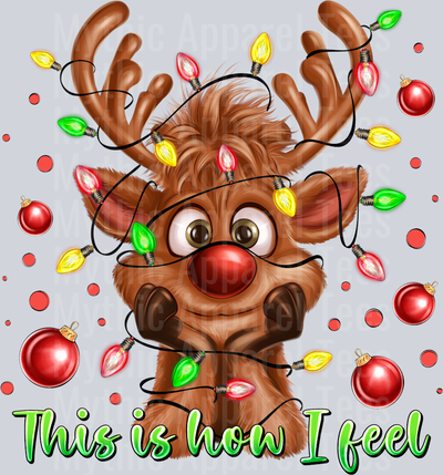 This is what I get Rudolph Christmas