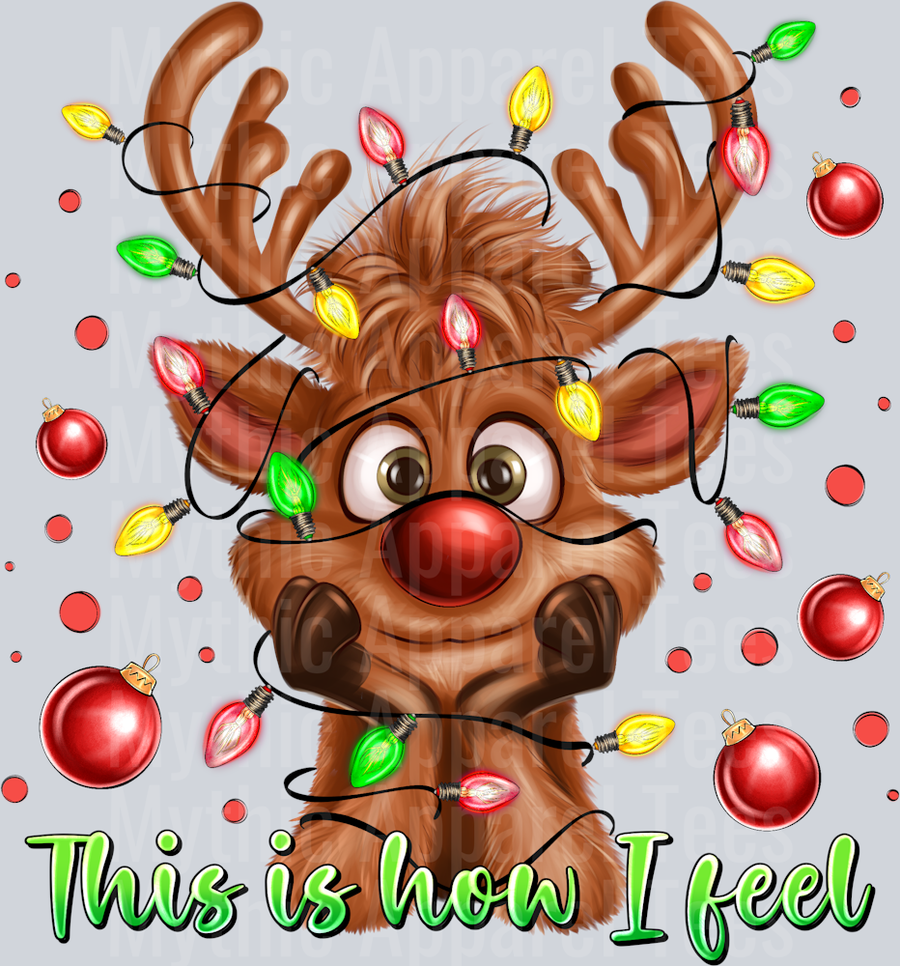This is what I get Rudolph Christmas