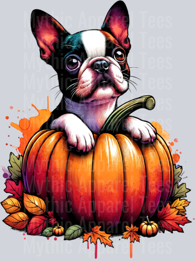 BOSTON TERRIER PUMPKIN