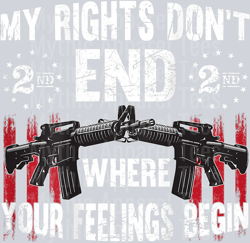 2nd Amendment Feelings America USA Patriotic Funny On Back T-Shirt (1) PRO 2nd
