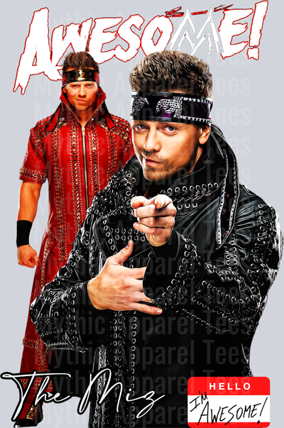 MIZ WWE Superstars DTF WWE Transfers