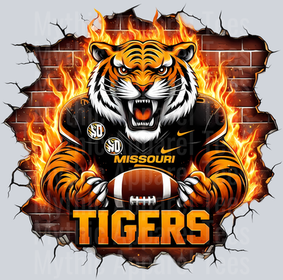 College Football Team Transfers