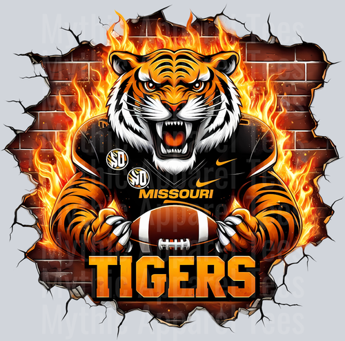 College Football Team Transfers