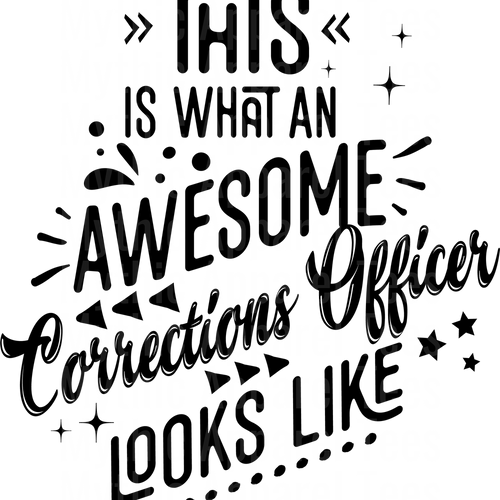 Corrections Officer DTF Transfer