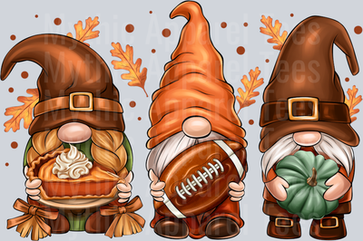 Fall Football Gnomes