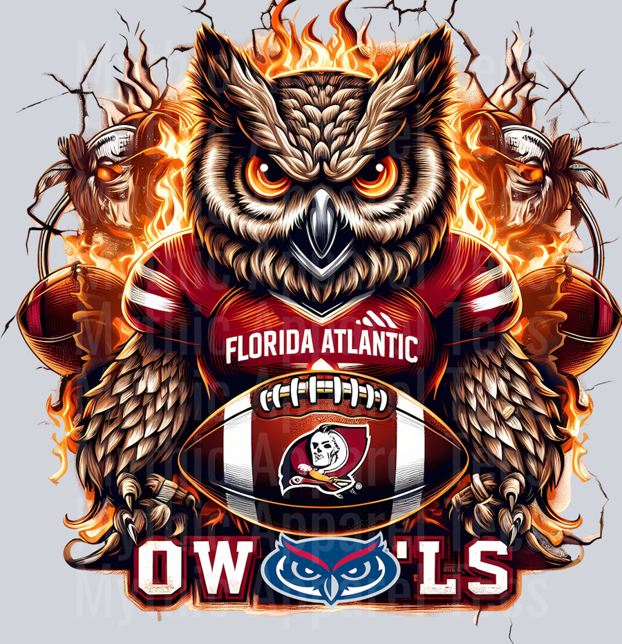 College Football Team Transfers