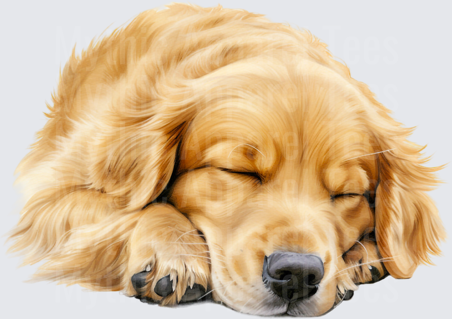 Sleeping Golden Retriever Puppy Curled Up Cozy Nap Realistic Watercolor Illustration