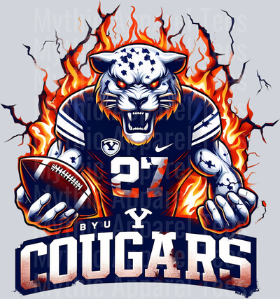 College Football Team Transfers