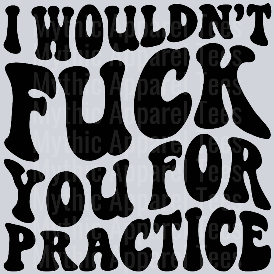 I Wouldnt Fuck You For Practice