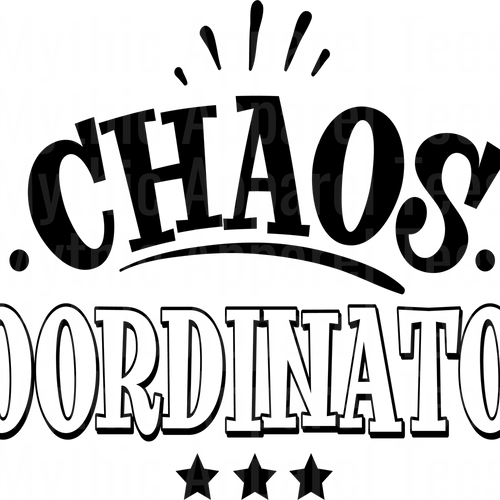 Corrections Officer DTF Transfer