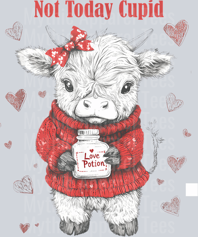 215 Highland Cow Funny Valentines Day Design Not Today Cupid T-Shirt