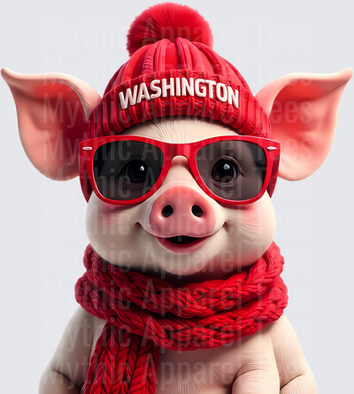 NFL Mascots Washington Cute Pig Red Beanie Sunglasses Scarf