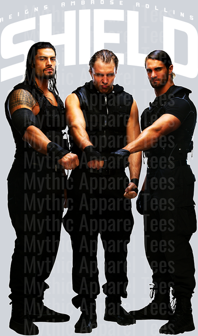 THE SHIELD WWE Superstars DTF WWE Transfers