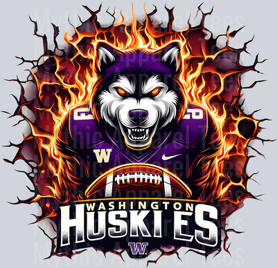 College Football Team Transfers