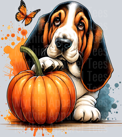BASSET HOUND FALL