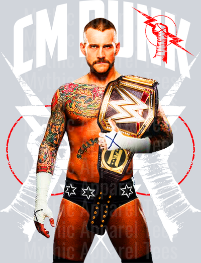 CM PUNK WWE Superstars DTF WWE Transfers