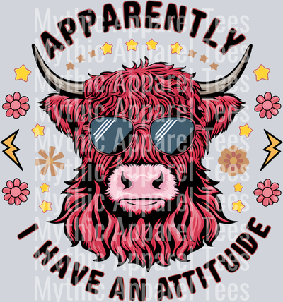 Apparently I have an attitude