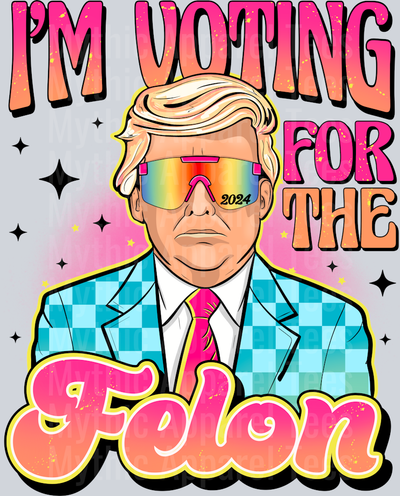 Voting_For_Felon