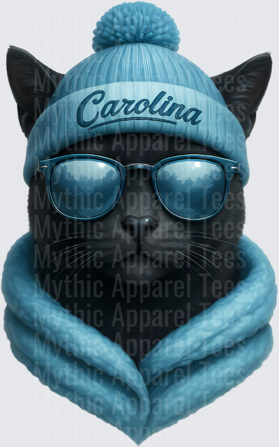 NFL Mascots Carolina Panthers Cool Black Cat Blue Beanie Shades Scarf