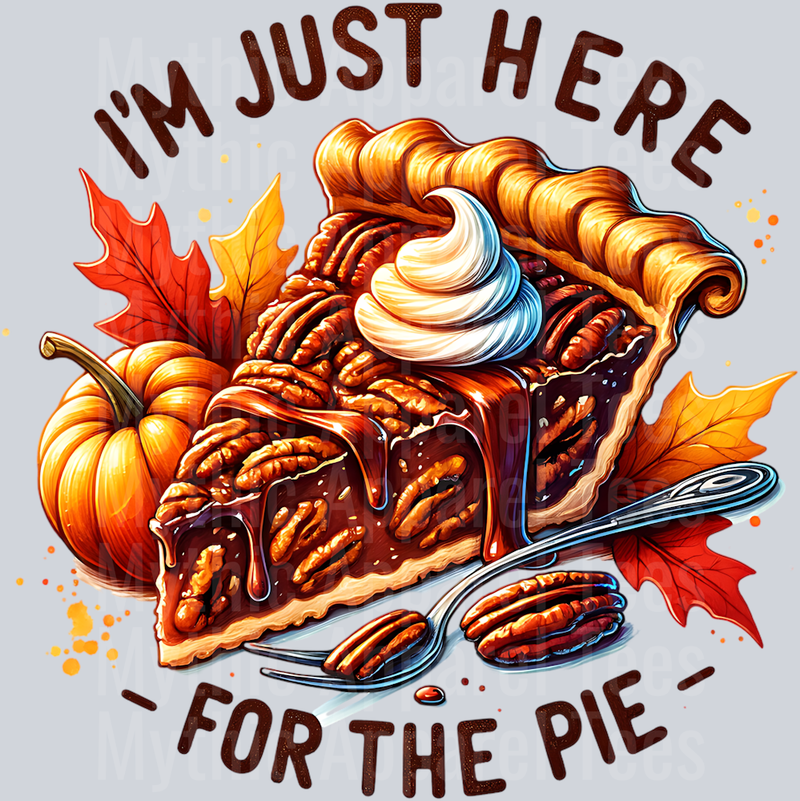 im just here for the pie pecan pie slice
