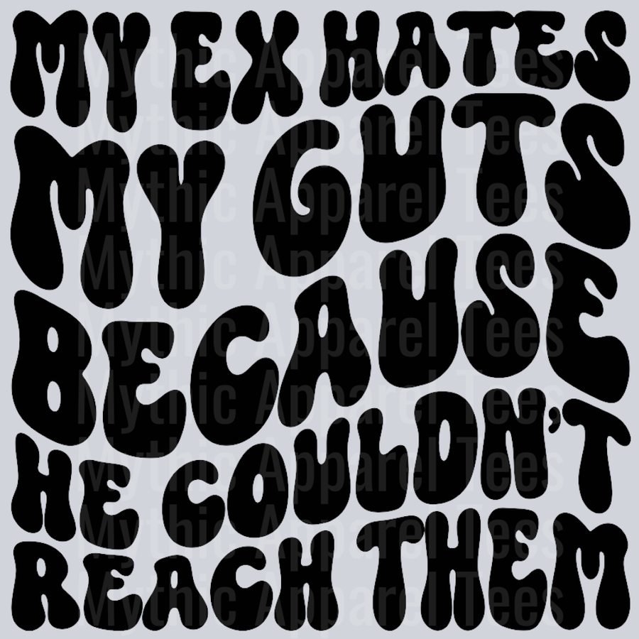 My Ex Hates My Guts