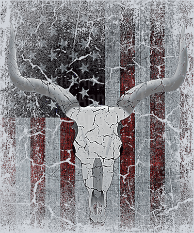 Western Style American Flag with bull horns DTF Western Transfers